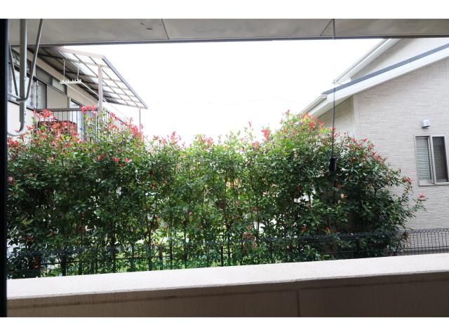 桜井駅 徒歩9分 1階の物件内観写真