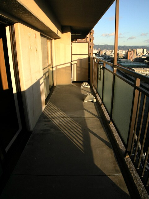 ISM大阪城公園の物件内観写真