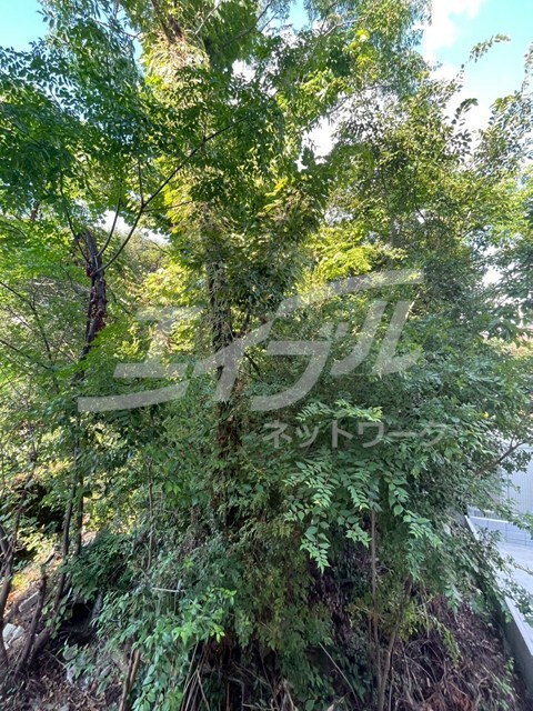 城北公園通駅 徒歩10分 2階の物件内観写真