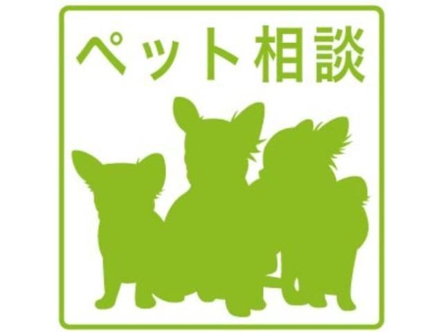 スプランディッド弁天町WESTの物件内観写真