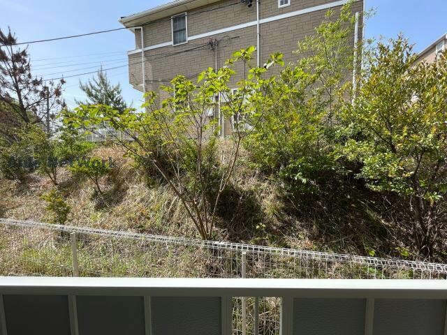 サフィニアガーデンB棟の物件内観写真