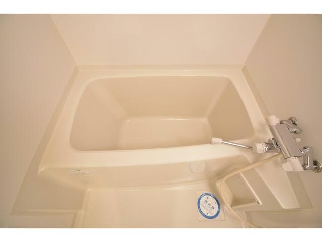 マルベリーモラダの物件内観写真