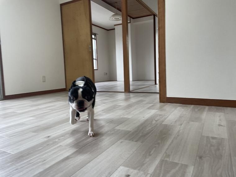 コーポ三晃の物件内観写真