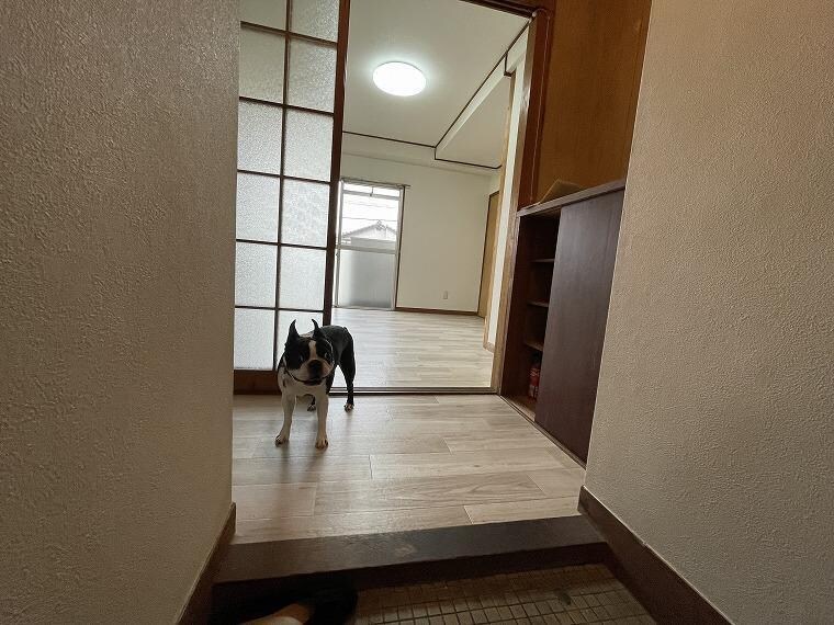 コーポ三晃の物件内観写真