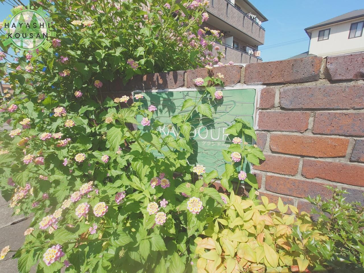 グランドールA棟の物件外観写真