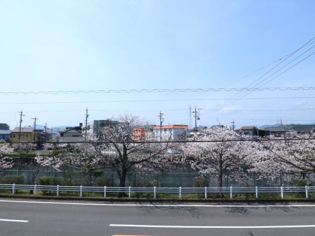 静岡駅 バス18分  小鹿下車：停歩3分 2階の物件内観写真