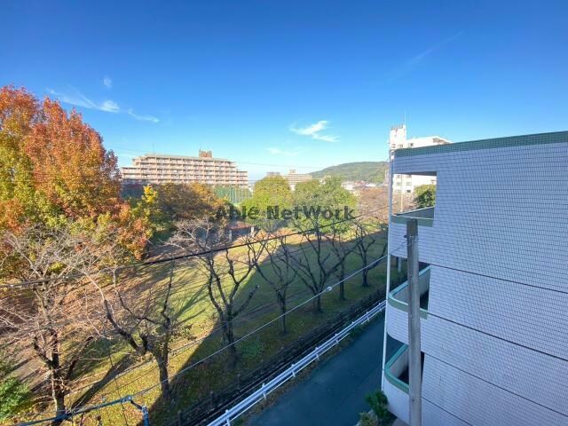 坪井セントラルパーク飛鳥の物件内観写真