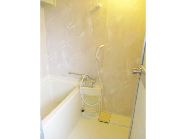 石垣八丁目 徒歩5分 5階の物件内観写真