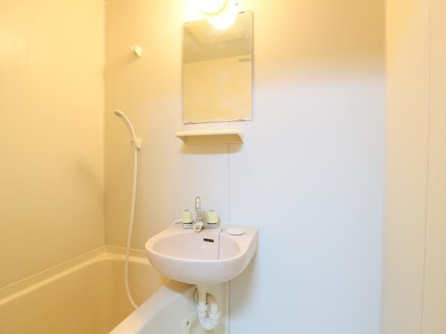 狐ケ崎駅 徒歩15分 1階の物件内観写真