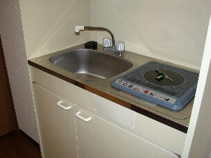 メゾンラフィーネの物件内観写真