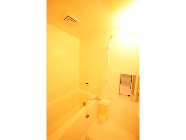 中津駅 徒歩12分 1階の物件内観写真