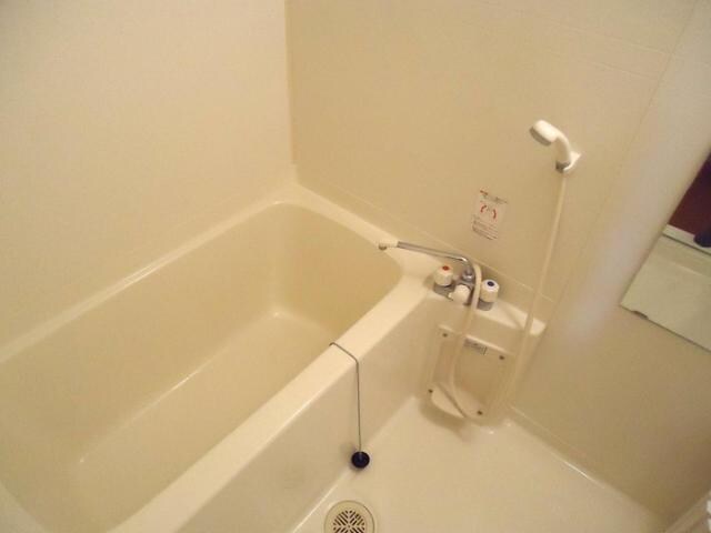 中津駅 徒歩12分 1階の物件内観写真