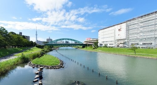 スカイコート亀戸中央公園の物件内観写真