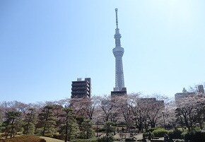 リュエル浅草の物件内観写真