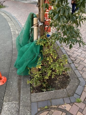 QG三軒茶屋の物件内観写真