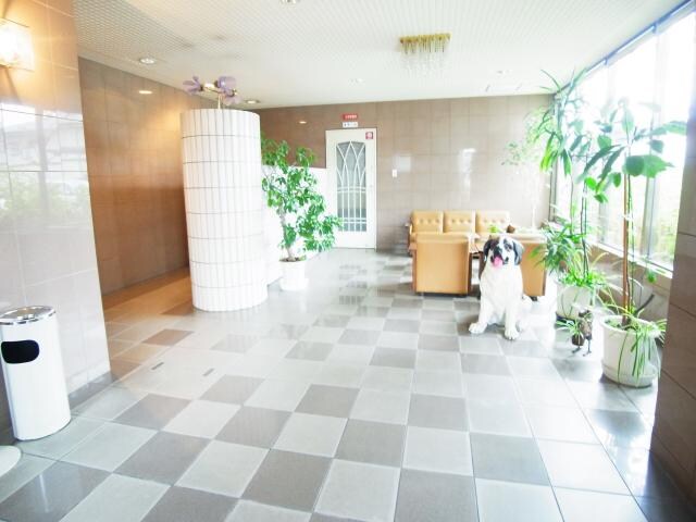 新大宮駅 徒歩10分 6階の物件外観写真