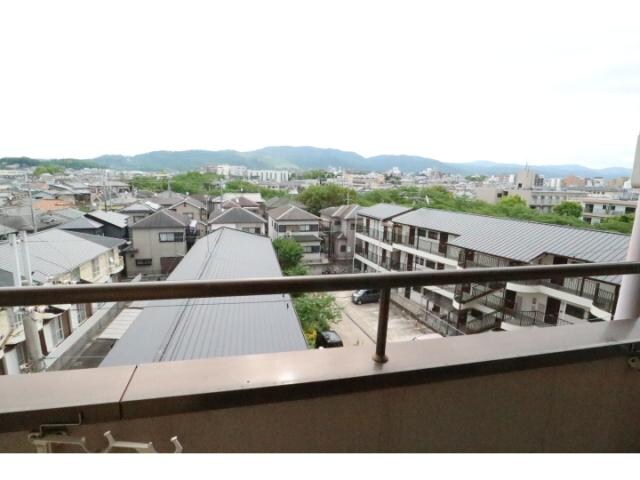 新大宮駅 徒歩8分 5階の物件内観写真