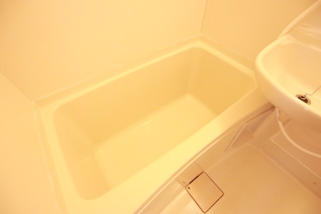 グリーンピポット第３の物件内観写真