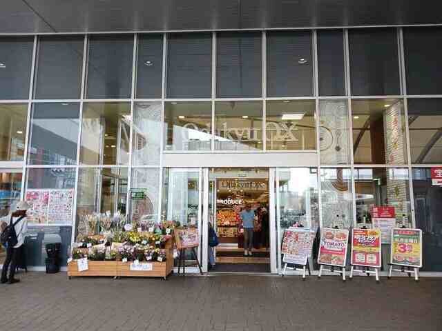 オーレヴィアの物件外観写真