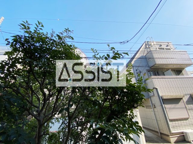 三軒茶屋駅 徒歩19分 1階の物件内観写真