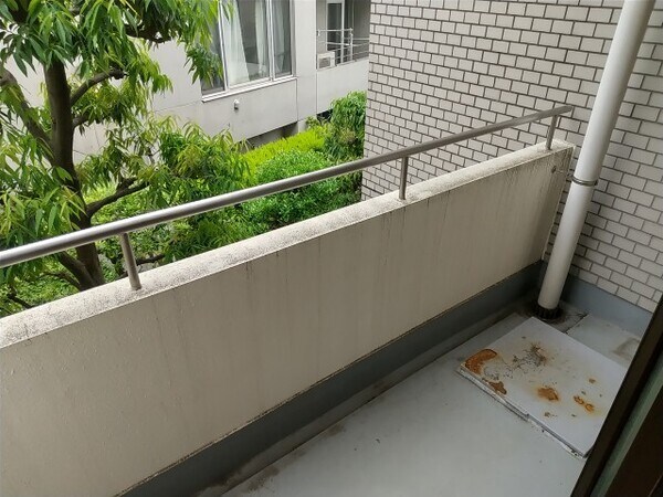 学芸大学駅 徒歩12分 1階の物件内観写真