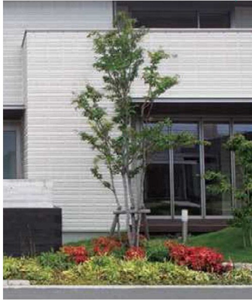 祐天寺駅 徒歩8分 1階の物件外観写真