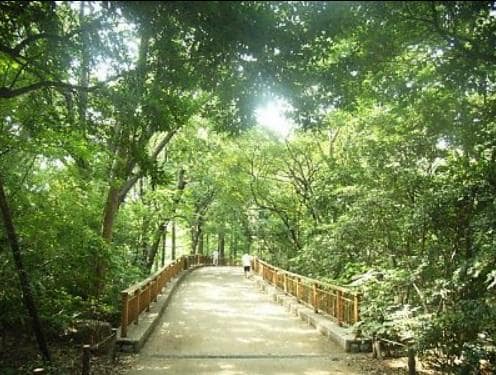 宮田ハイツの物件内観写真