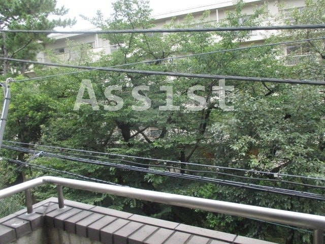 武蔵小山駅 徒歩7分 2階の物件内観写真