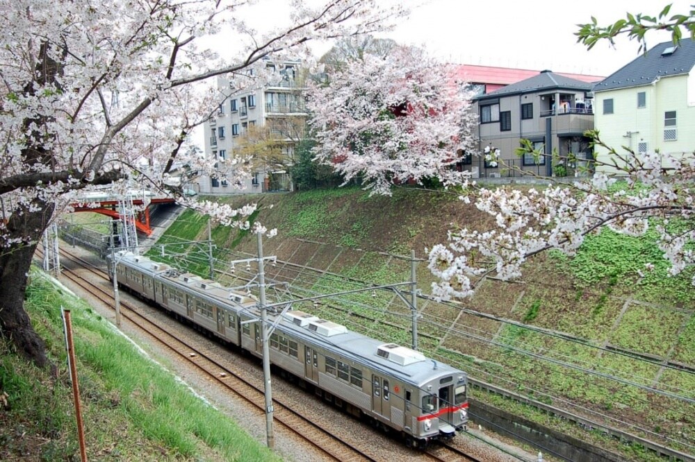 緑が丘駅 徒歩9分 2階の物件内観写真