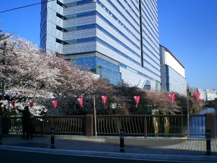 不動前駅 徒歩4分 4階の物件内観写真