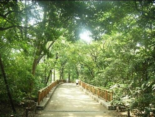 ネスト鷹番の物件内観写真