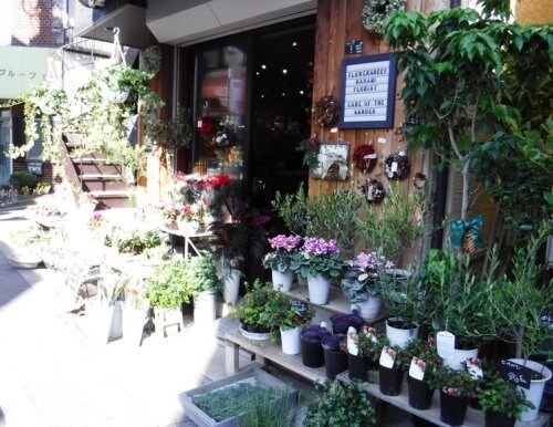 二子玉川駅 徒歩6分 1階の物件内観写真