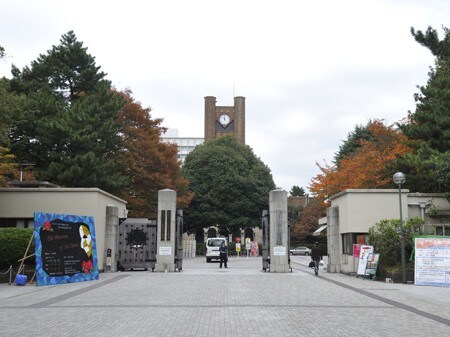 代々木八幡駅 徒歩2分 2階の物件内観写真