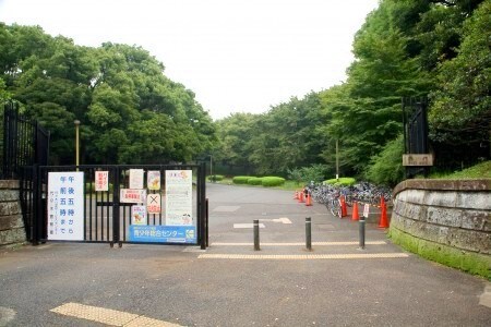 代々木公園駅 徒歩10分 3階の物件内観写真