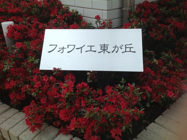 駒沢大学駅 徒歩11分 1階の物件内観写真