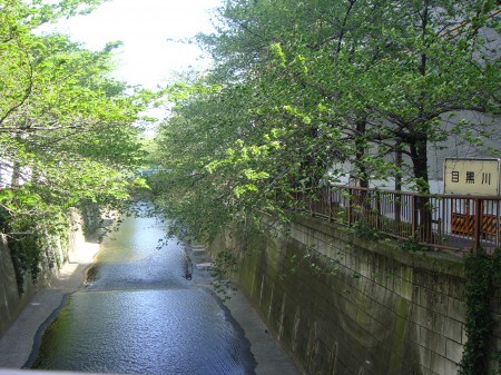 三軒茶屋駅 徒歩7分 1階の物件内観写真