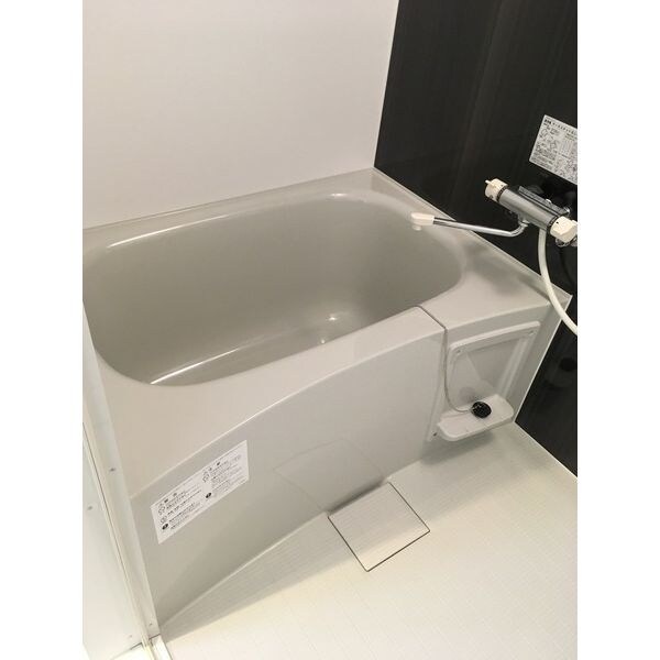 Antique（アンティーク）の物件内観写真