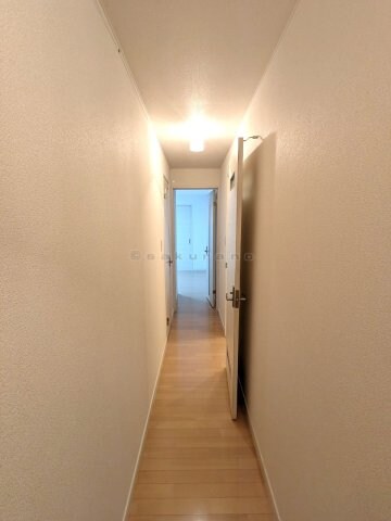 サンテラス稲積公園Ⅴの物件内観写真