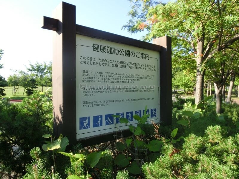 ノルフィーノ星置駅前通りの物件内観写真