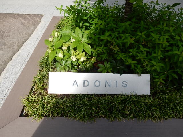 ADONIS（アドニス）の物件外観写真