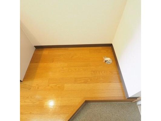 山潟小学校前 徒歩1分 4階の物件内観写真