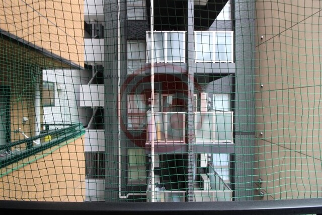 インターナショナル上汐の物件内観写真