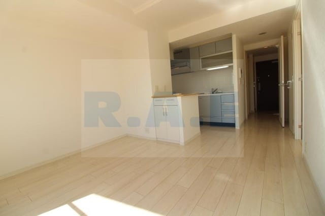 カスタリア阿倍野の物件内観写真