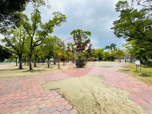 住吉区帝塚山中５丁目　戸建の物件内観写真