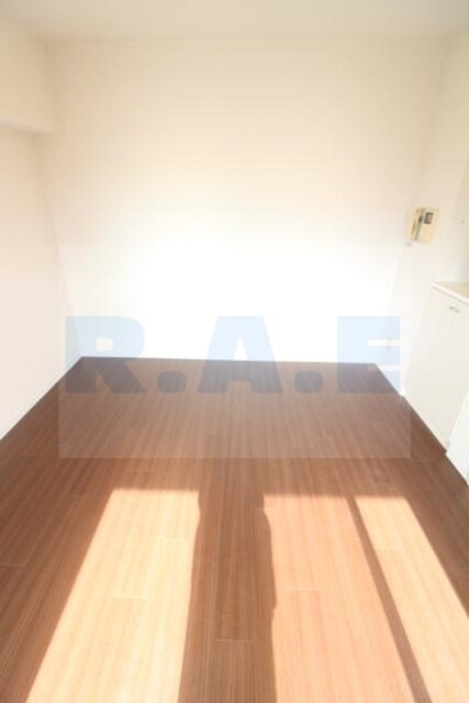 ディナスティ長居公園南の物件内観写真