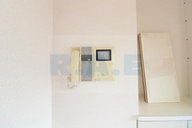 ディナスティ長居公園南の物件内観写真