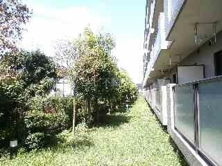 七里駅 徒歩7分 2階の物件外観写真