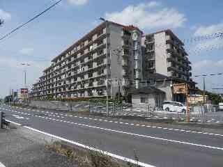 蓮田駅 徒歩16分 4階の物件外観写真