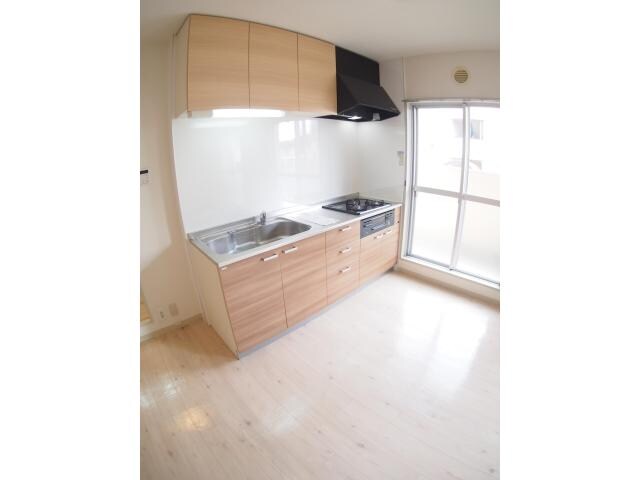 北春日部駅 徒歩13分 1階の物件内観写真