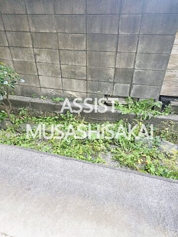 ソフィア吉祥寺の物件内観写真